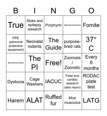 Tech Week Trivia Bingo! Bingo Card