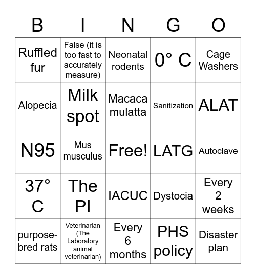 Tech Week Trivia Bingo! Bingo Card