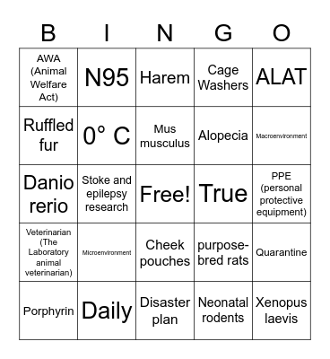 Tech Week Trivia Bingo! Bingo Card