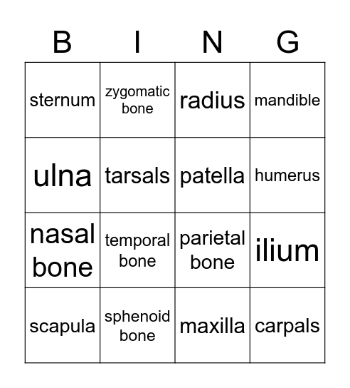 Names of Bones Bingo Card