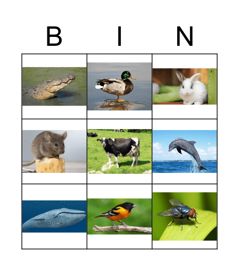 Animals Bingo Card