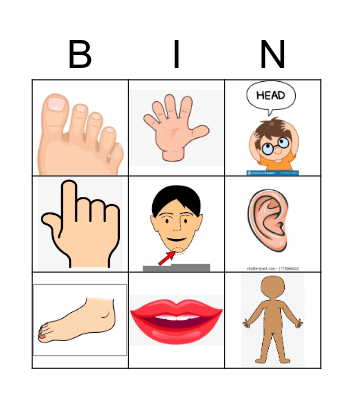 BODY PARTS Bingo Card