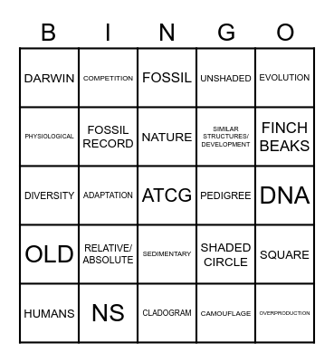 UNIT TEST REVIEW Bingo Card