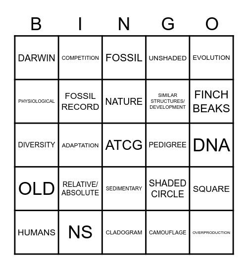 UNIT TEST REVIEW Bingo Card