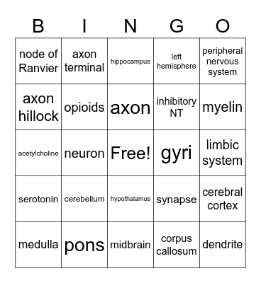 Biopsychology Bingo Card