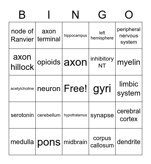 Biopsychology Bingo Card