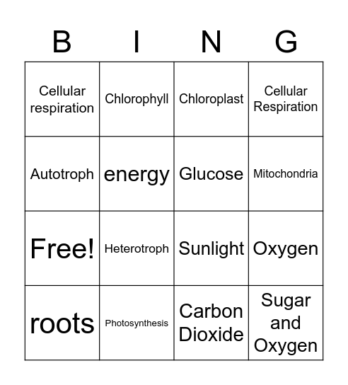 Module 6 Bingo Card