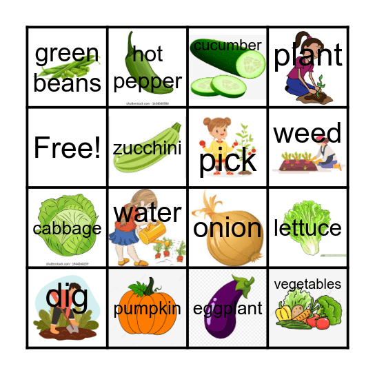 Unit 2 - Fresh Food Bingo Card
