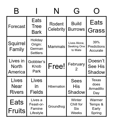 Happy Groundhog Day! Bingo Card