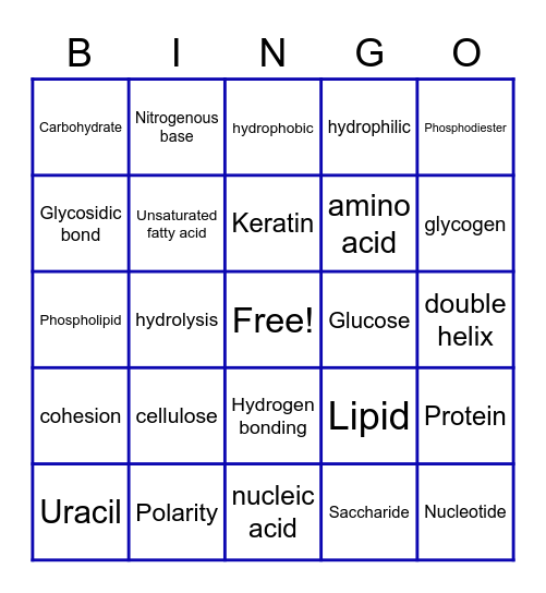 Biomolecule Bingo Card