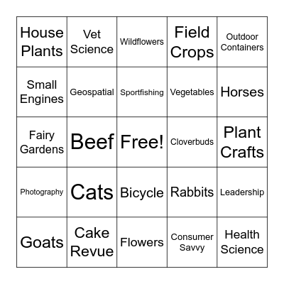 4-H Green County Fair Projects Bingo Card