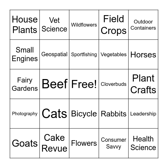 4-H Green County Fair Projects Bingo Card