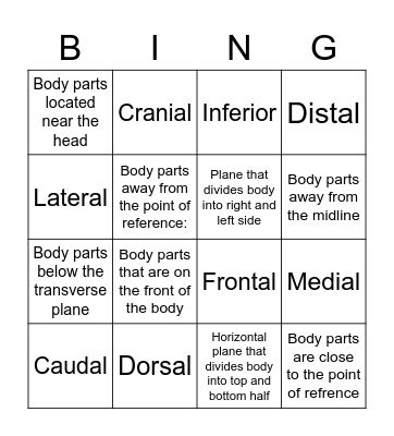 Match each word with its definition until you get bingo! Bingo Card