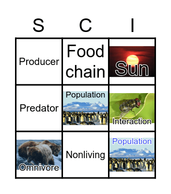 Food Chains Bingo Card