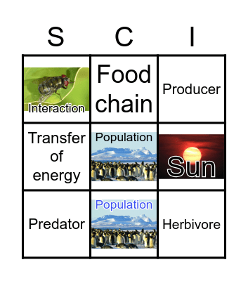 Food Chains Bingo Card