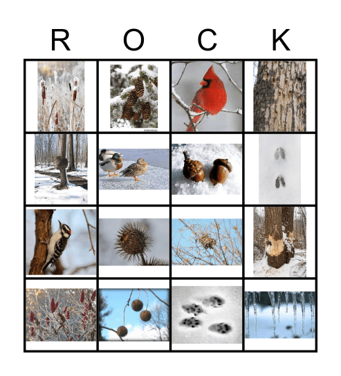 ❄️ROCK BINGO ❄️ Bingo Card