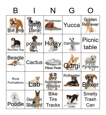 Palmer Park Bingo Card