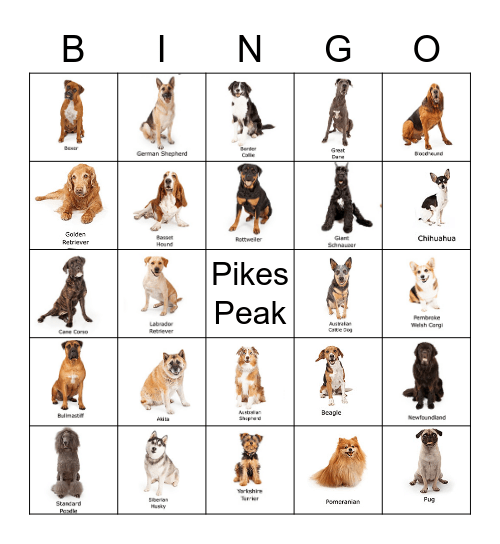 Palmer Dog Park Bingo Card