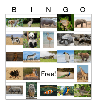 Zoo Animals Bingo Card