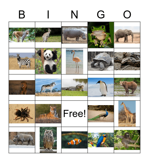 Zoo Animals Bingo Card