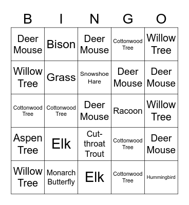 Biodiversity & Disturbance Game 2 Bingo Card