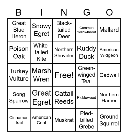 Coyote Hills Bingo Card