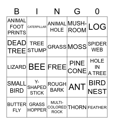 JONES PIONEER TREK NATURE Bingo Card