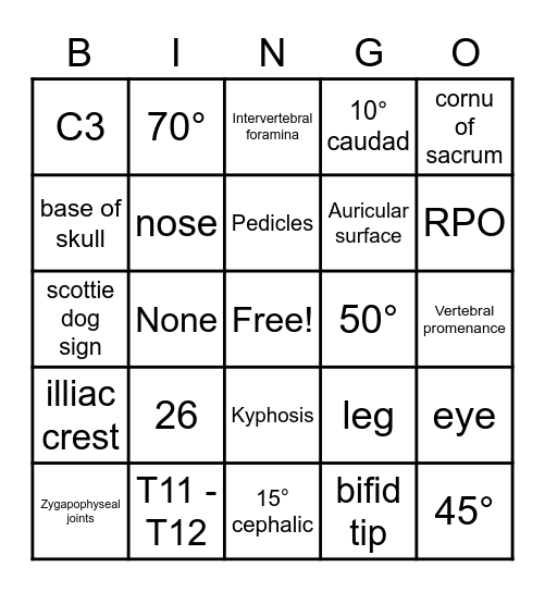 Vertebral Column Bingo Card