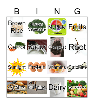 Nutrition to Grow On Bingo Card