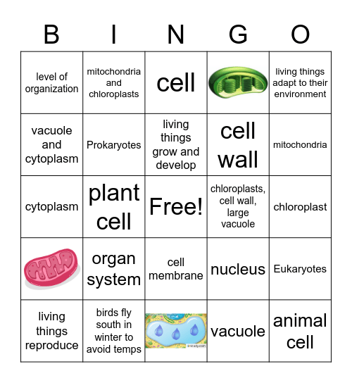Unit 6 Review Bingo Card