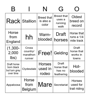 Equine Science Bingo Card