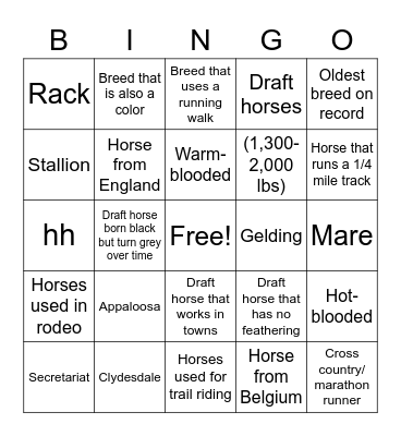 Equine Science Bingo Card