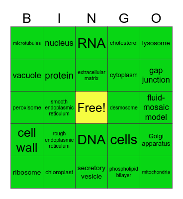 Cell Biology Bingo! Bingo Card
