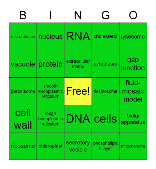 Cell Biology Bingo! Bingo Card