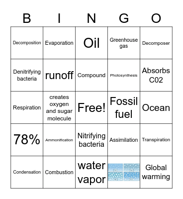 Natural cycles Bingo Card