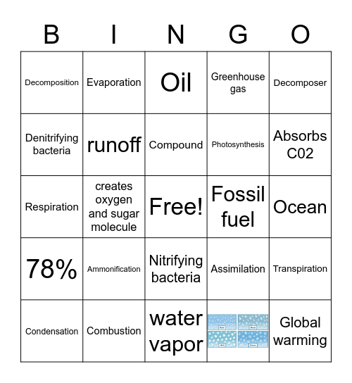 Natural cycles Bingo Card