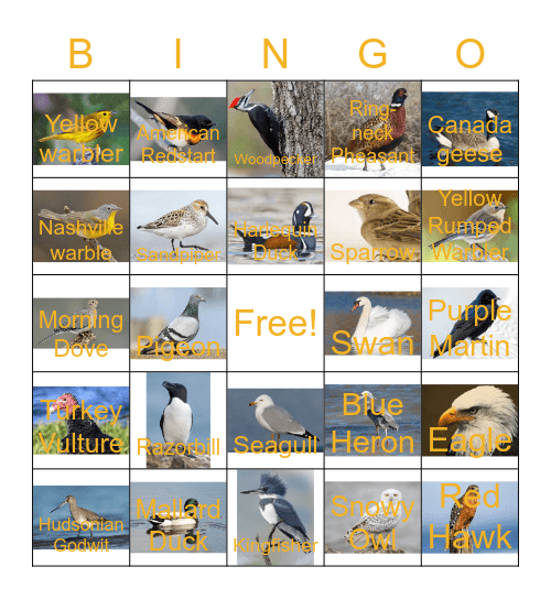 Birds on Lake Ontario Bingo Card