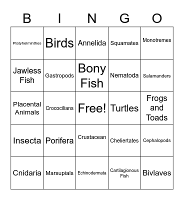 Animal Phylum Bingo Card