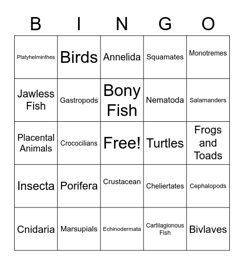 Animal Phylum Bingo Card