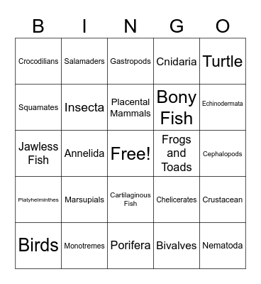 Animal Phylum Bingo Card