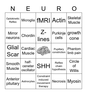 Phys Psych II Mid Term Bingo Card
