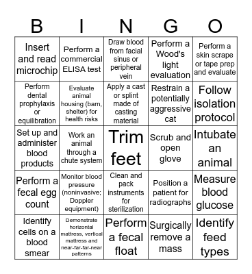 Clinical Skills Year 2 - Card G Bingo Card