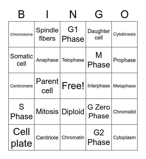Cell cycle Bingo Card