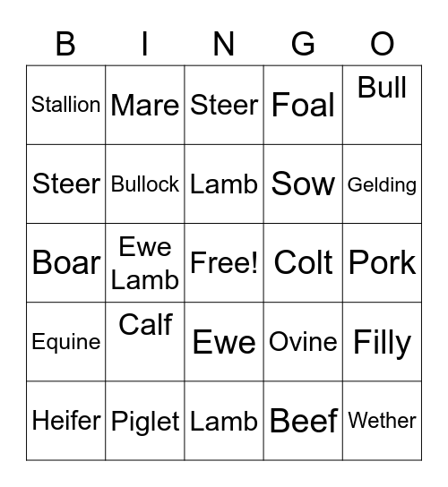 Livestock Terminology Bingo Card