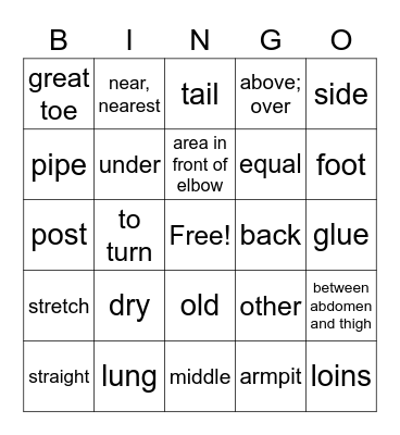 Medical Terms Bingo Card