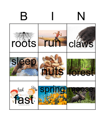 Bears Bingo Card