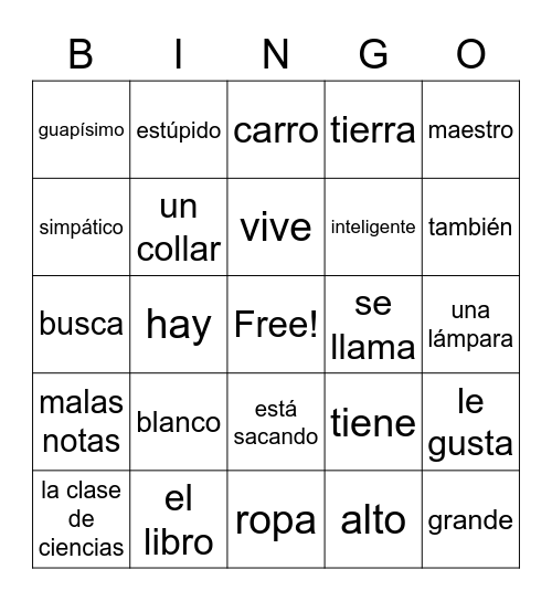 SPANISH 9 STORY 5 Bingo Card