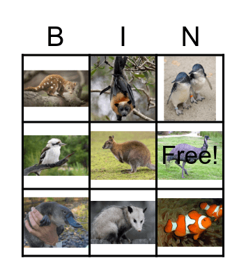 Australia Bingo Card