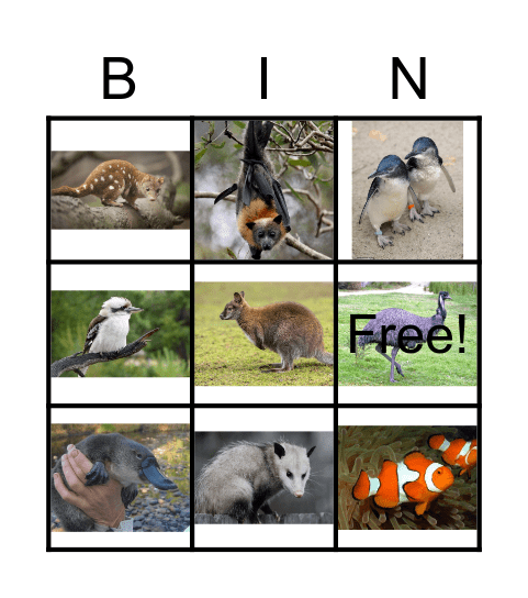 Australia Bingo Card