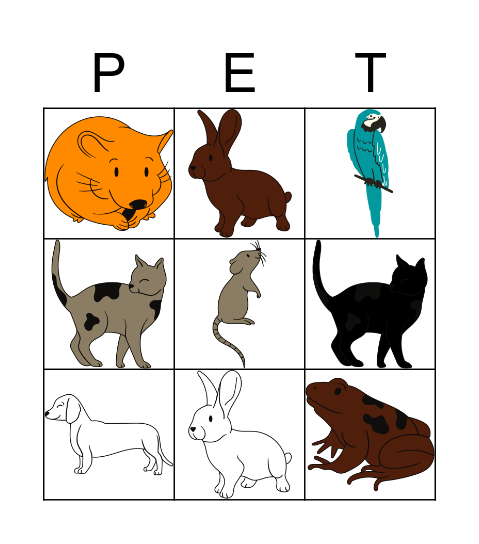 Pets Bingo Card